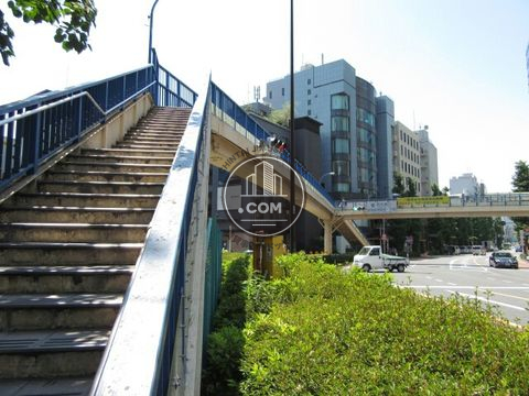 大通り