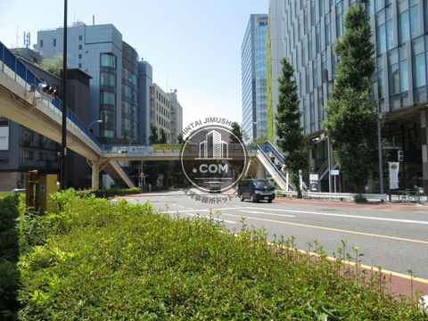 大通り