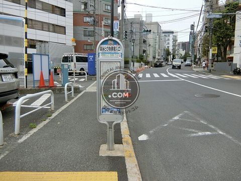 大通り