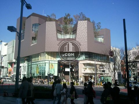 大通り