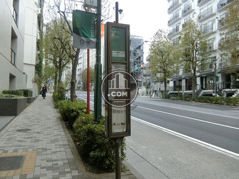 大通り