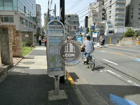 大通り