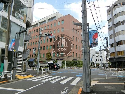 大通り