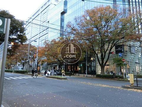 大通り