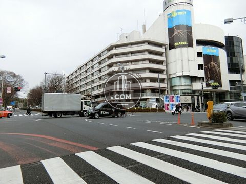 大通り