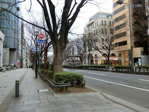 大通り