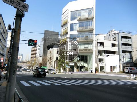 大通り