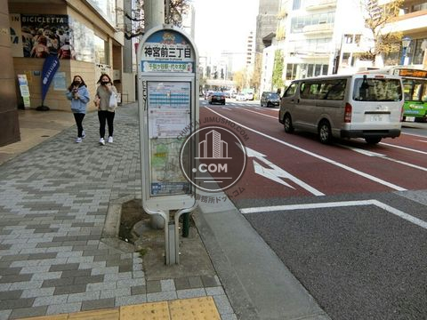 大通り