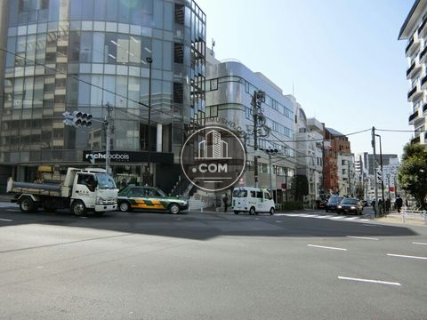 大通り