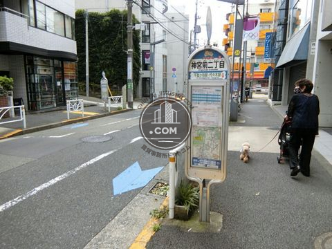 大通り
