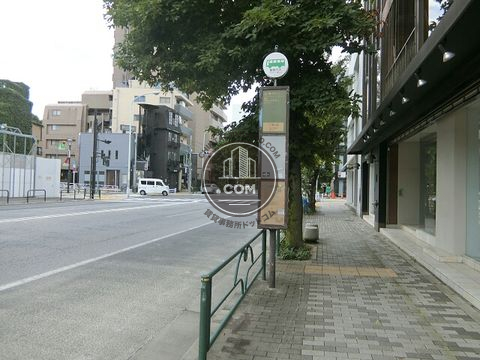大通り