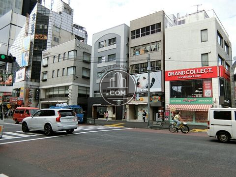 大通り