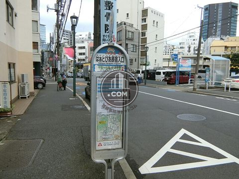 大通り