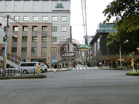 大通り