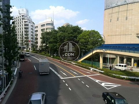 大通り