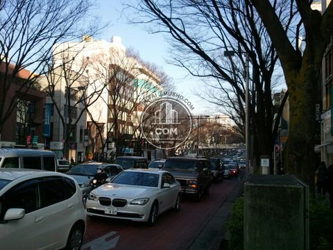 大通り
