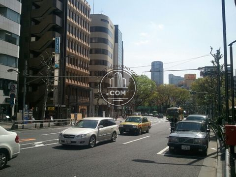 大通り