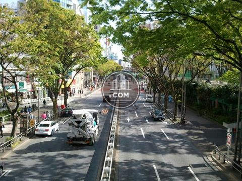 大通り