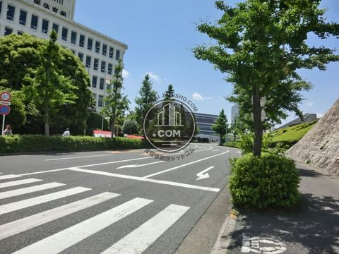 大通り