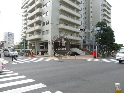 大通り