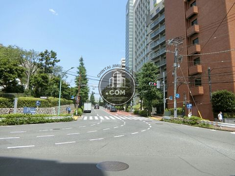 大通り