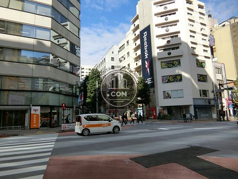 大通り