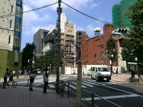 大通り
