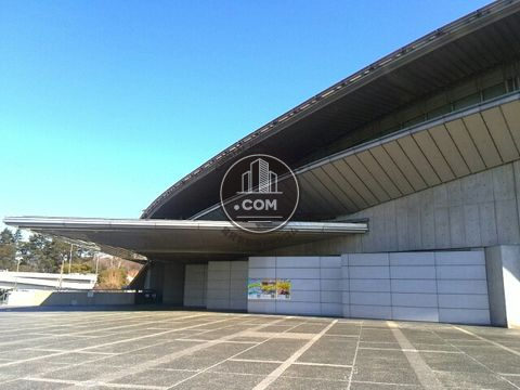 駅周辺