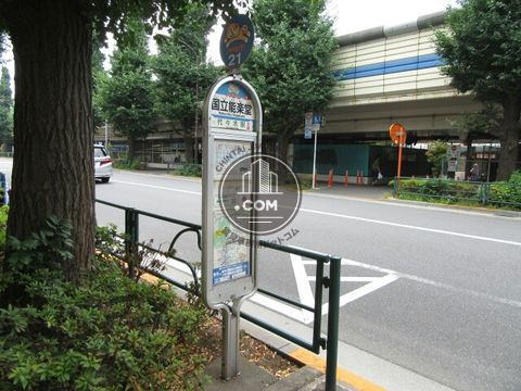 大通り