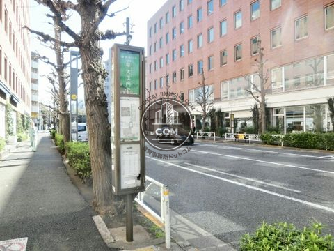大通り
