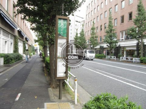 大通り
