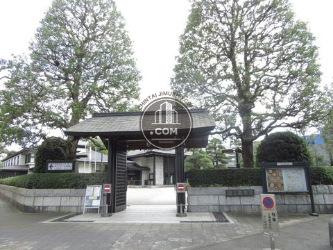大通り