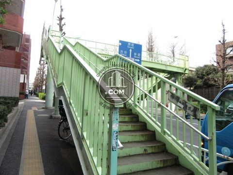 大通り