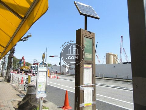 大通り