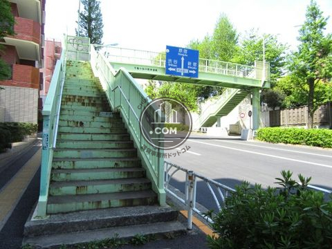 大通り