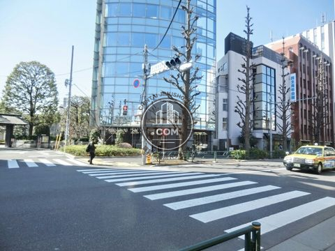 大通り