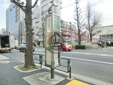 大通り