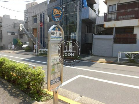 大通り