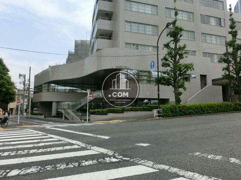 大通り