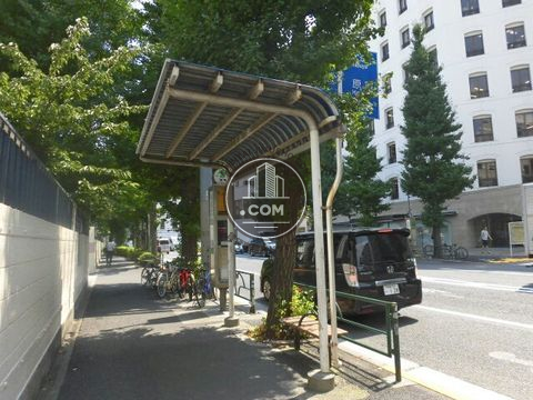 大通り