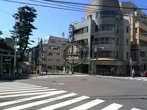 大通り