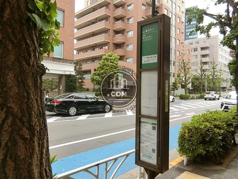 大通り