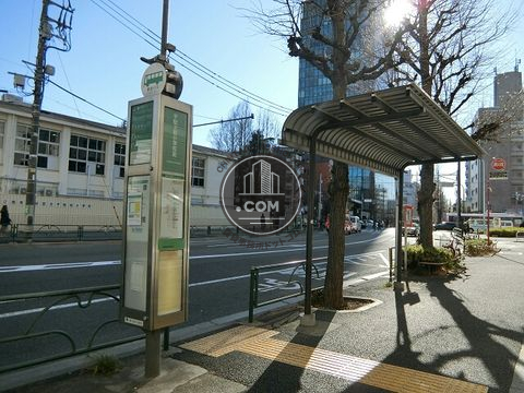 大通り