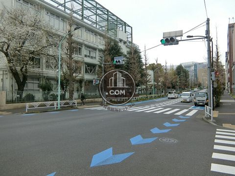 大通り