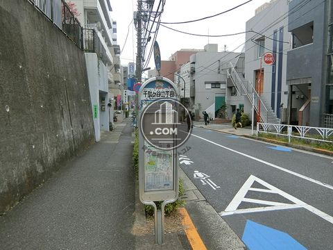 大通り