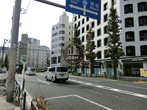大通り