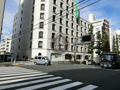大通り