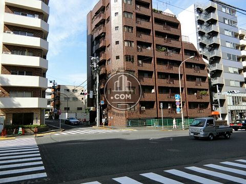 大通り