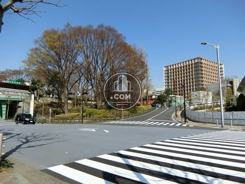 大通り
