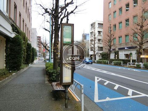 大通り